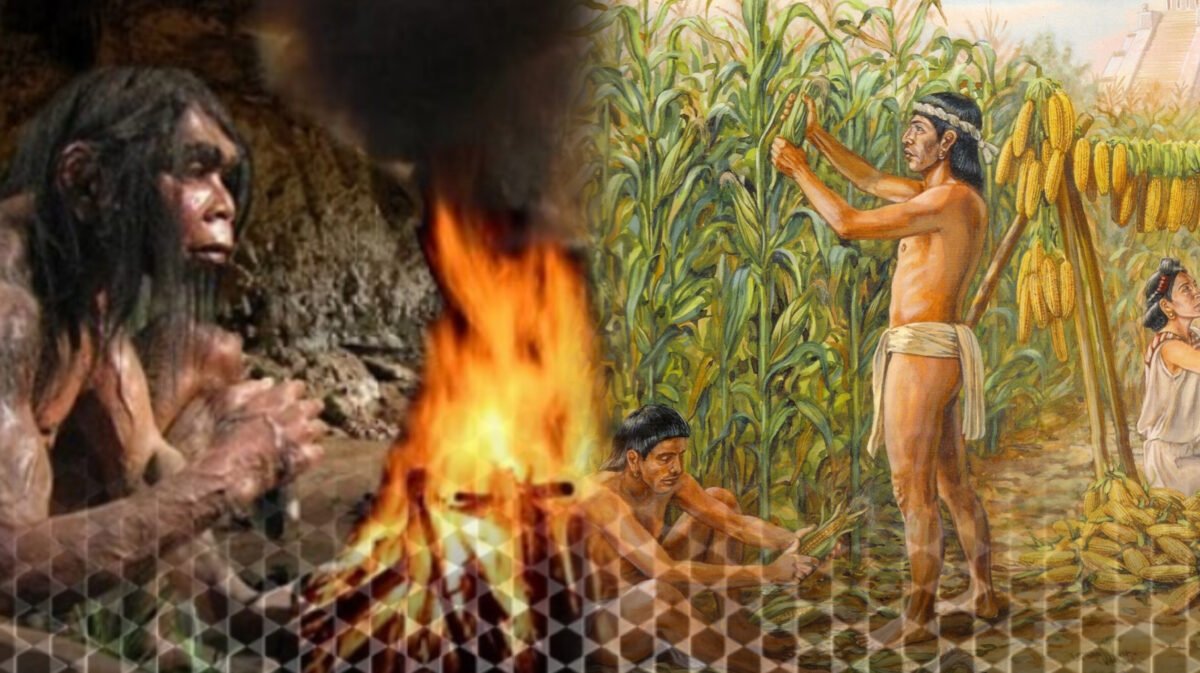 Cocinando la Historia: El nuevo ciclo de La Jabonería de Vieytes que revela cómo la alimentación forjó a la humanidad