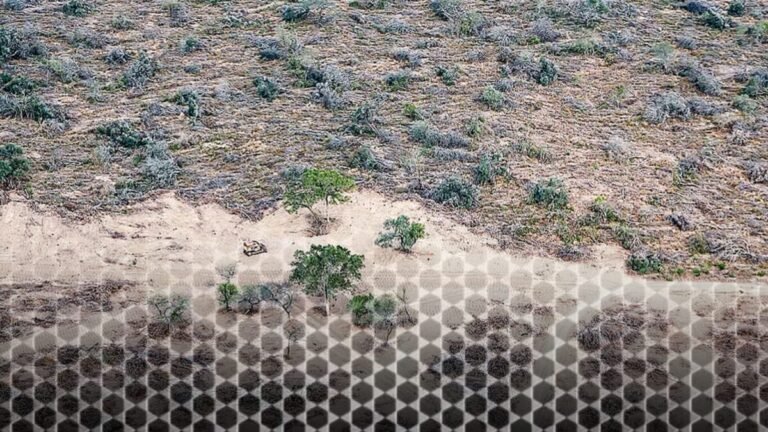 Impacto ambiental del desmonte en la provincia de Formosa. El Avance del agronegocio y el acaparamiento de tierra