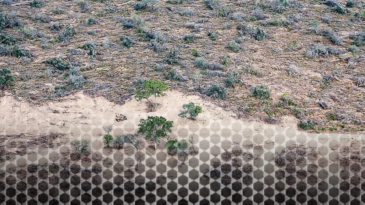 Impacto ambiental del desmonte en la provincia de Formosa. El Avance del agronegocio y el acaparamiento de tierra