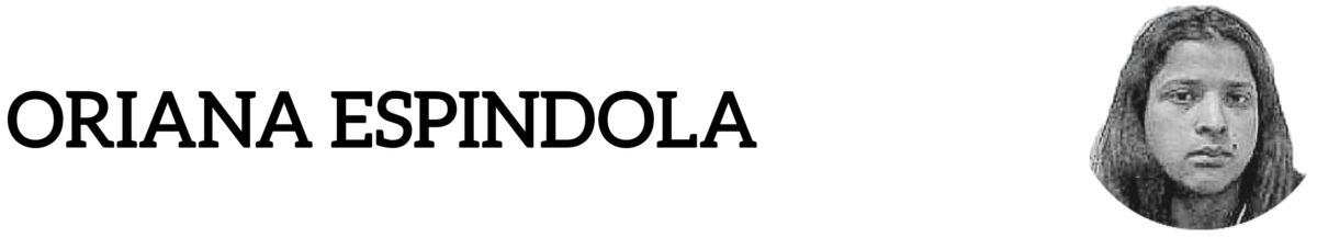 Sudáfrica: hallaron restos humanos dentro de un enorme cocodrilo.
